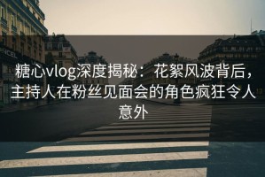 糖心vlog深度揭秘：花絮风波背后，主持人在粉丝见面会的角色疯狂令人意外