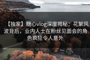 【独家】糖心vlog深度揭秘：花絮风波背后，业内人士在粉丝见面会的角色疯狂令人意外