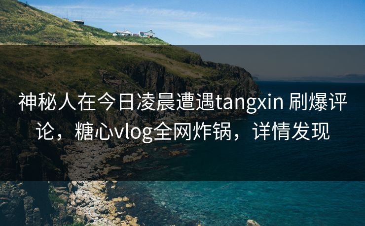 神秘人在今日凌晨遭遇tangxin 刷爆评论，糖心vlog全网炸锅，详情发现